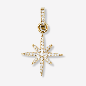 Pendentif étoile avec diamants en acier inoxydable *Pièce centrale 